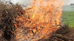 SUSPESES LES AUTORITZACIONS DE CREMES FINS A NOU AVÍS