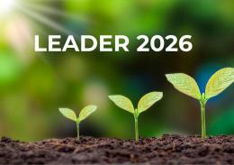 SUBVENCIONS LEADER PER A LA IMPLEMENTACIÓ D'OPERACIONS D'ACORD AMB ESTRATÈGIES DE DESENVOLUPAMENT LOCAL PARTICIPATIU